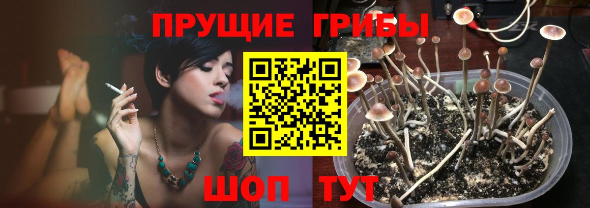 Псилоцибиновые грибы мухоморы  Вход с VPN  Усть-Илимск 