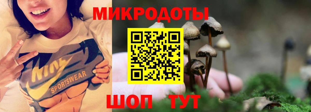 Псилоцибиновые грибы мицелий Усть-Илимск